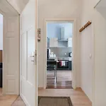 公寓 Residenz Bis 6 Gaeste , Bis 4 Gaeste, Elbflorenz Bis 2 Gaeste