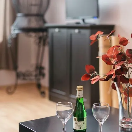 Residenz Bis 6 Gaeste , Bis 4 Gaeste, Elbflorenz Bis 2 Gaeste 公寓 *