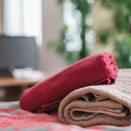 公寓 Residenz Bis 6 Gaeste , Bis 4 Gaeste, Elbflorenz Bis 2 Gaeste 德累斯顿