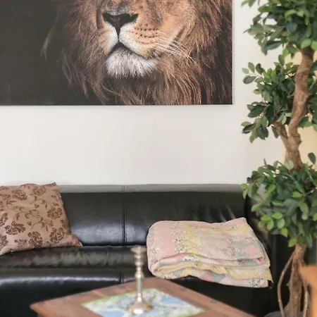 Residenz Bis 6 Gaeste , Bis 4 Gaeste, Elbflorenz Bis 2 Gaeste 德累斯顿