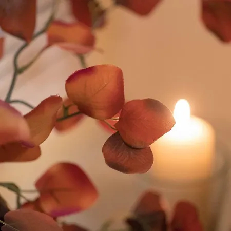 Residenz Bis 6 Gaeste , Bis 4 Gaeste, Elbflorenz Bis 2 Gaeste 公寓 *