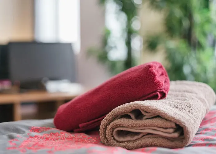 Appartement Residenz Bis 6 Gaeste , Bis 4 Gaeste, Elbflorenz Bis 2 Gaeste Dresde