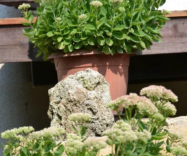 Appartement Residenz Bis 6 Gaeste , Bis 4 Gaeste, Elbflorenz Bis 2 Gaeste